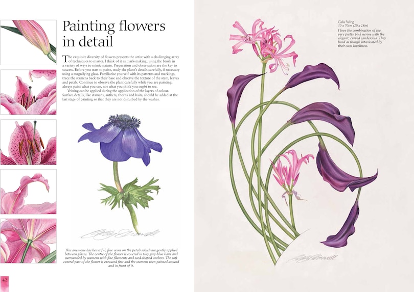 Sample content 3_Watercolour Flower Portraits