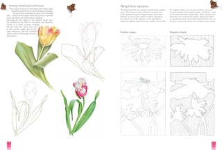 Sample content 4_Watercolour Flower Portraits