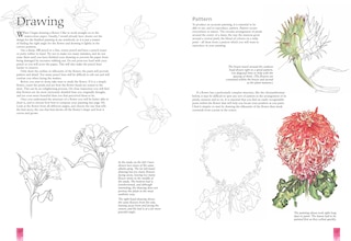 Sample content 5_Watercolour Flower Portraits