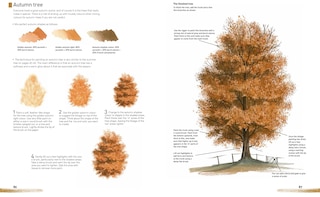 Sample content 5_Watercolour Landscapes For The Absolute Beginner