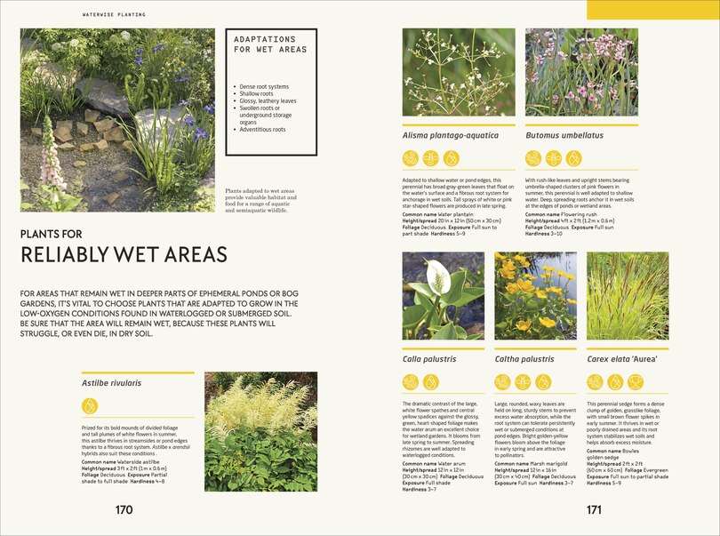 Aperçu du contenu_Waterwise Garden