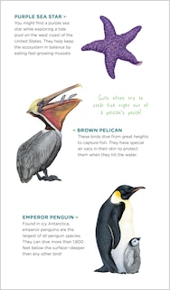 Sample content 3_Watery World of Tattoo Ocean Animals