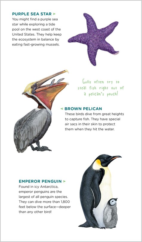 Sample content 3_Watery World of Tattoo Ocean Animals