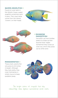 Sample content 4_Watery World of Tattoo Ocean Animals