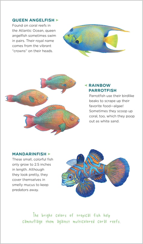 Sample content 4_Watery World of Tattoo Ocean Animals