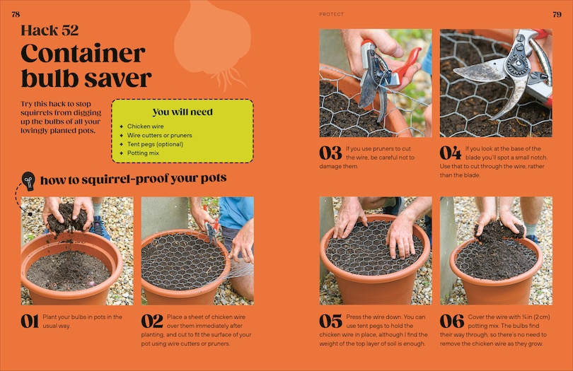 Sample content 3_Way to Grow