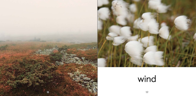 Sample content_Weather Words