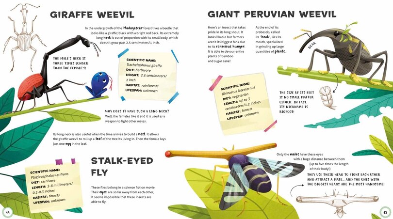 Sample content 2_Weird And Wonderful Animals