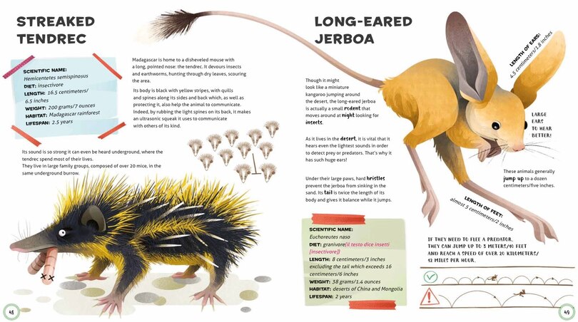 Sample content 3_Weird And Wonderful Animals