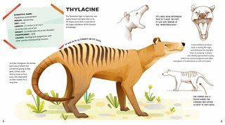 Sample content_Weird And Wonderful Extinct Animals