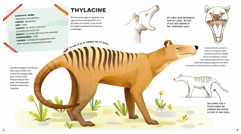 Sample content_Weird And Wonderful Extinct Animals