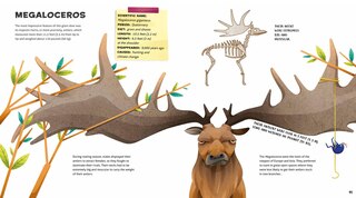 Sample content 2_Weird And Wonderful Extinct Animals
