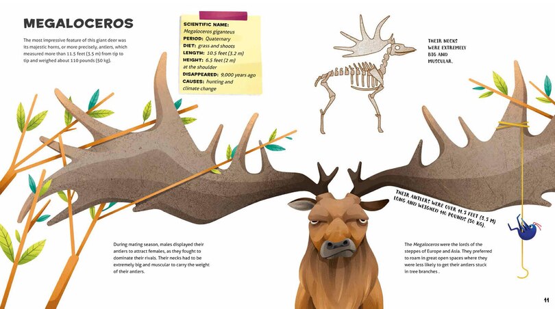 Sample content 2_Weird And Wonderful Extinct Animals