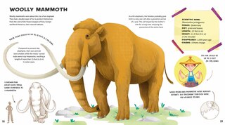 Sample content 3_Weird And Wonderful Extinct Animals