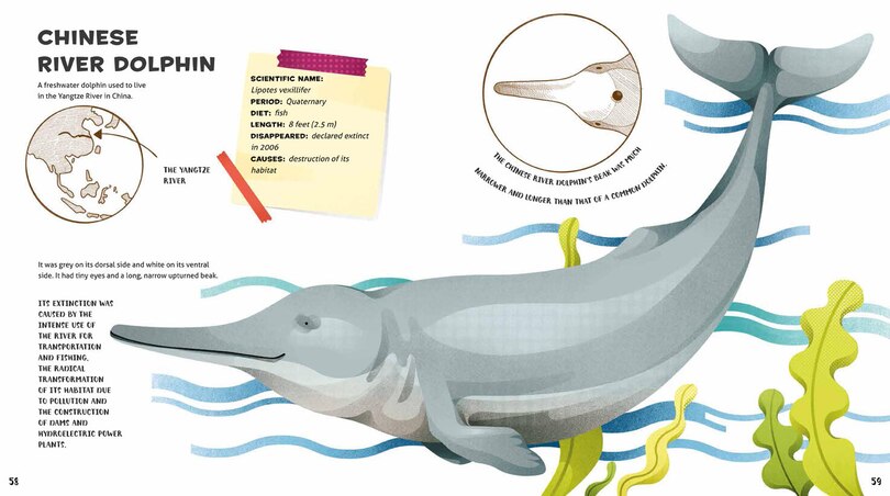 Sample content 5_Weird And Wonderful Extinct Animals