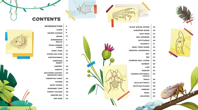 Sample content_Weird and Wonderful Gross Animals