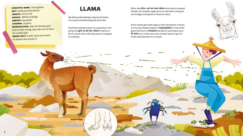 Sample content 2_Weird and Wonderful Gross Animals
