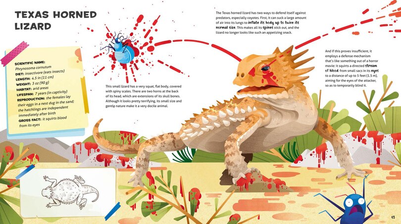Sample content 3_Weird and Wonderful Gross Animals