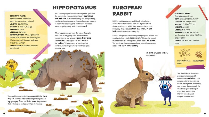 Sample content 4_Weird and Wonderful Gross Animals