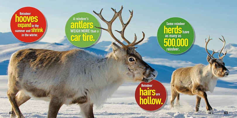 Aper&ccedil;u du contenu_Weird But True! Christmas: Expanded Edition