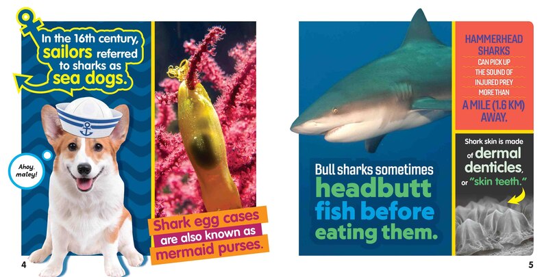 Sample content_Weird But True! Sharks