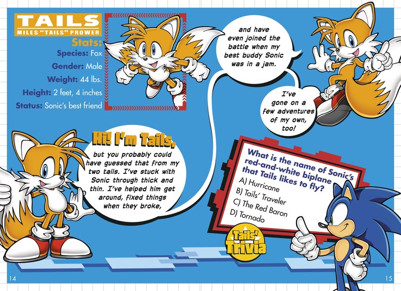 Aperçu du contenu 4_Welcome to the World of Sonic