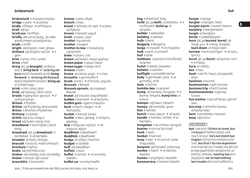 Aper&ccedil;u du contenu_Welsh Gem Dictionary