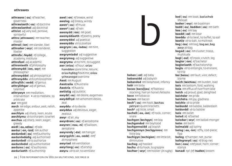 Aper&ccedil;u du contenu 2_Welsh Gem Dictionary