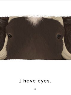 Aperçu du contenu 3_What Am I?