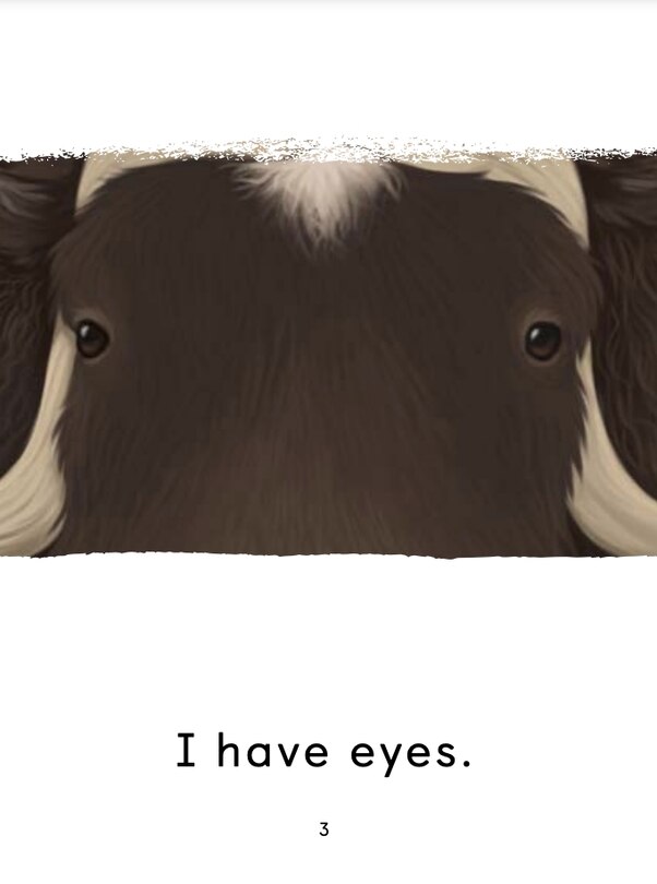 Aperçu du contenu 3_What Am I?