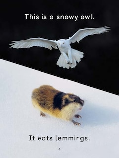 Sample content_What Arctic Animals Eat