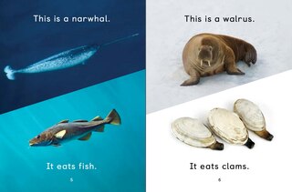 Sample content 2_What Arctic Animals Eat