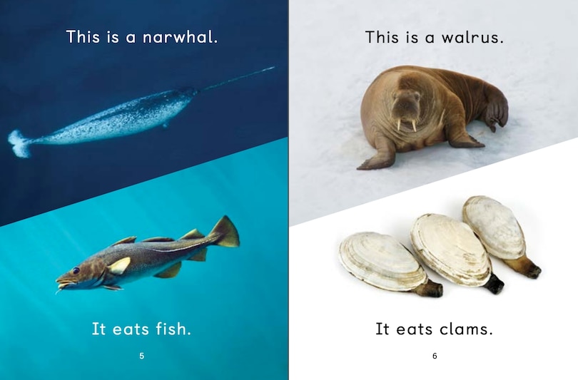 Sample content 2_What Arctic Animals Eat
