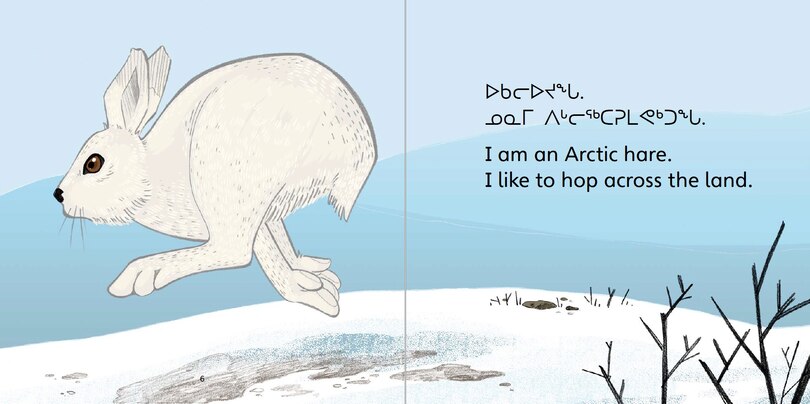 Aperçu du contenu 3_What Arctic Animals Like To Do