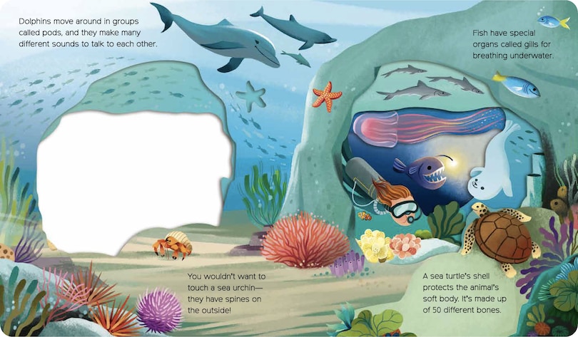 Sample content 4_What Can You See? Under the Sea