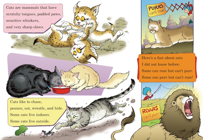 Sample content 2_What Cat Is That? All About Cats