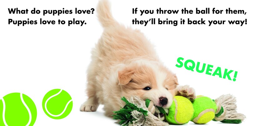 Aperçu du contenu 2_What Do Puppies Love?