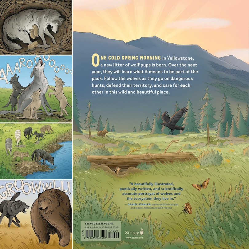 Back cover_What Goes on inside a Wolf Pack