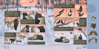 Sample content 2_What Goes on inside a Wolf Pack