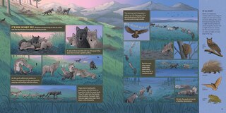 Sample content 3_What Goes on inside a Wolf Pack