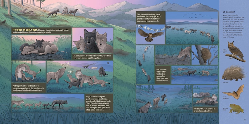 Sample content 3_What Goes on inside a Wolf Pack