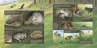 Sample content 4_What Goes on inside a Wolf Pack