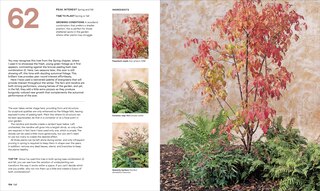 Sample content_What Grows Together