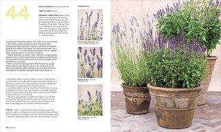 Sample content 2_What Grows Together