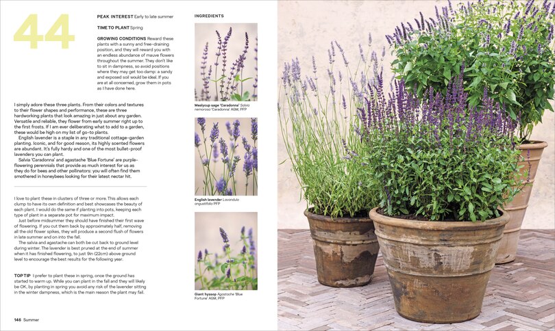 Sample content 2_What Grows Together