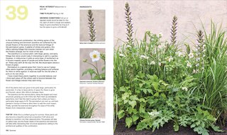 Sample content 4_What Grows Together