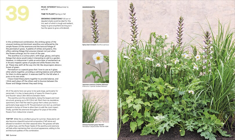 Sample content 4_What Grows Together