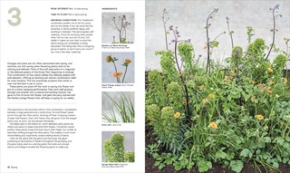 Sample content 5_What Grows Together