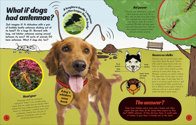 Aper&ccedil;u du contenu_What If... Pigs Could Fly?