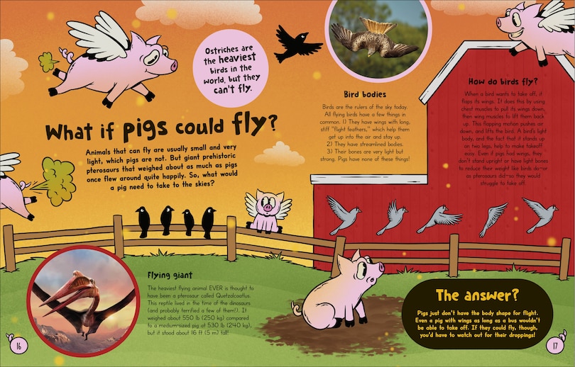 Aper&ccedil;u du contenu 2_What If... Pigs Could Fly?